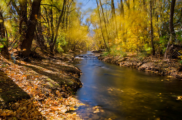 Boulder Creek Study #4