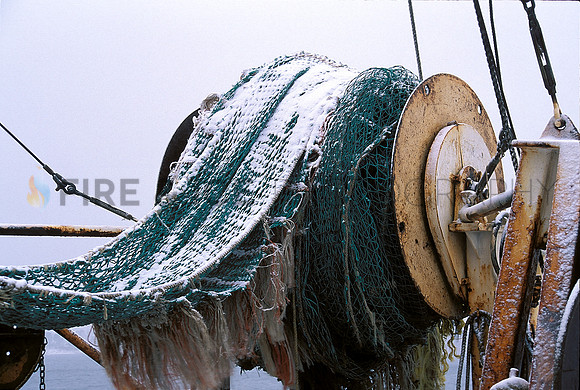 Fishing Net, Woods Hole