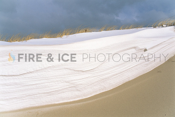 Snow Wedge, Sandy Neck Dunes