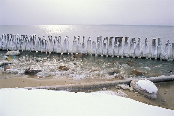 Icy Pilings, East Falmouth
