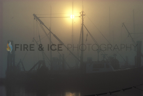 R/V Gemma in Fog, Woods Hole