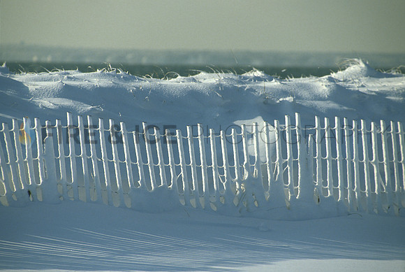 Erosion Fence in Winter, Falmouth