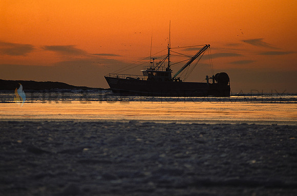 Fishing Boat at Sunset, Winter
