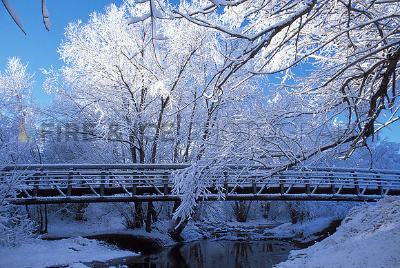 bike, boulder, bridge, colorado, path, snow, tree, winter, scenic, art, photo, photography, photograph, travel