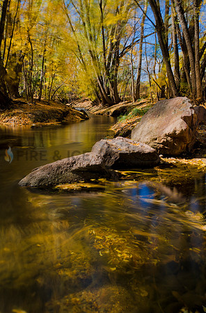 Boulder Creek Study #1