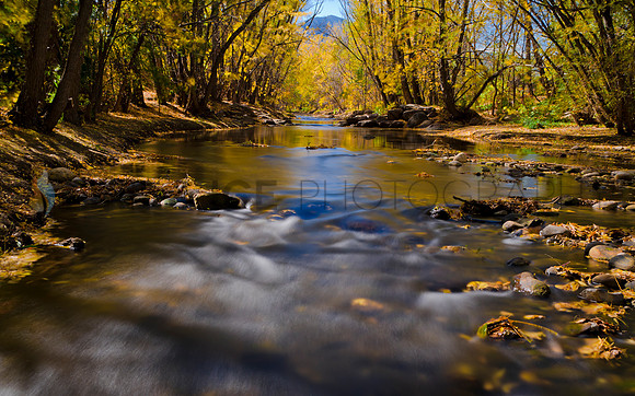 Boulder Creek Study #5