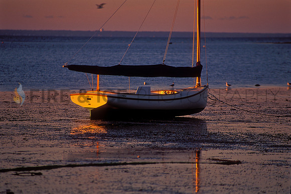 Te Deum, Cape Cod