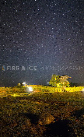 Tortoise Camp with stars, Isla Santa Cruz, Galapagos Islands